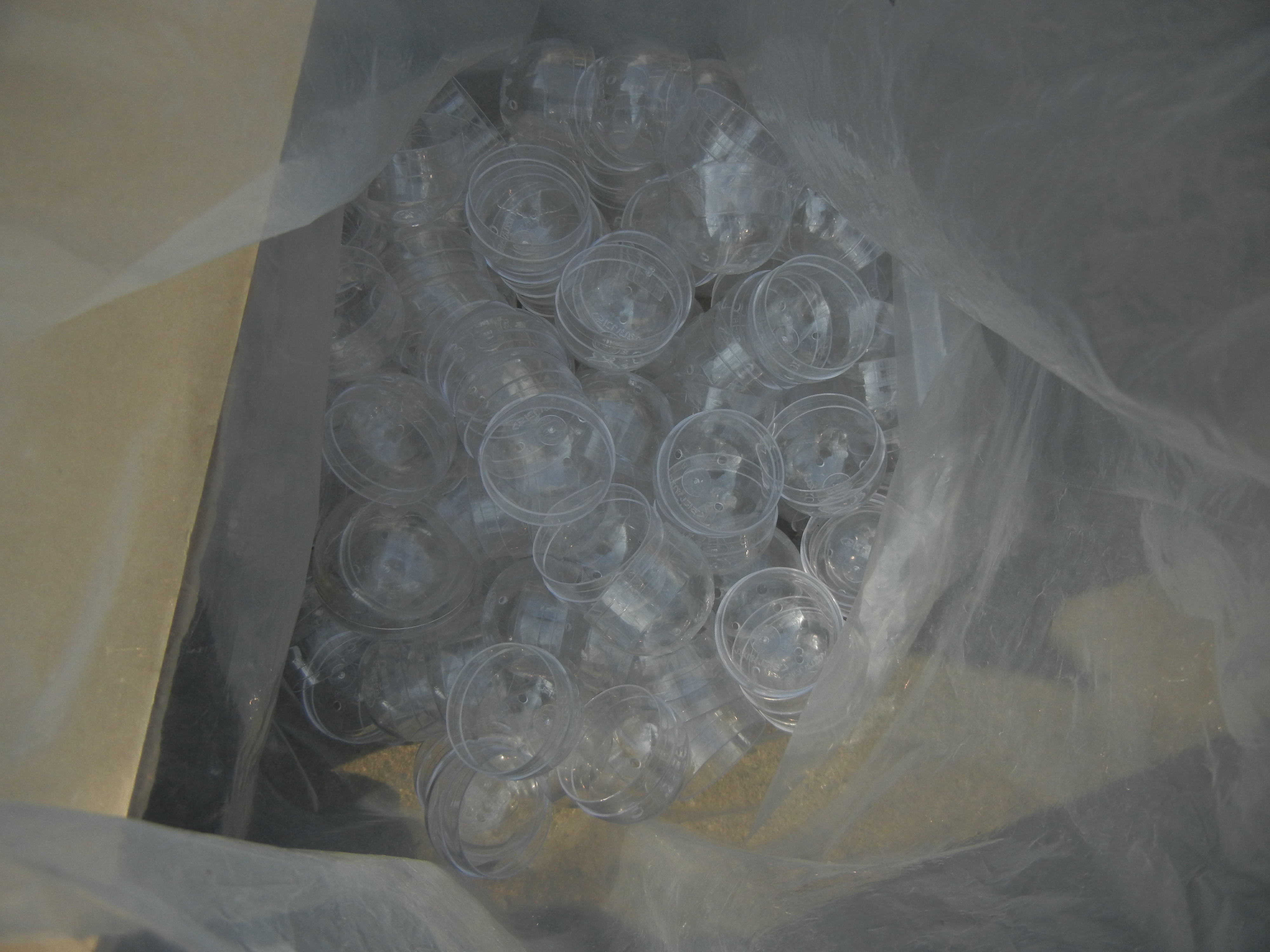 カプセルトイ１